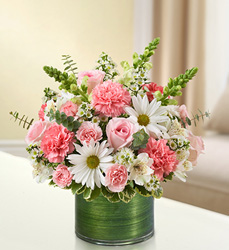 Cherished Memories <br> Pink and White Davis Floral Clayton Indiana from Davis Floral